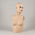 1738 8147 Provdocka